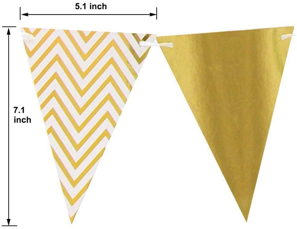 Sparkly Paper Pennant Banner Triangle Flags Bunting 8.2 Feet and Tissue Paper Tassels Garland 15 pcs